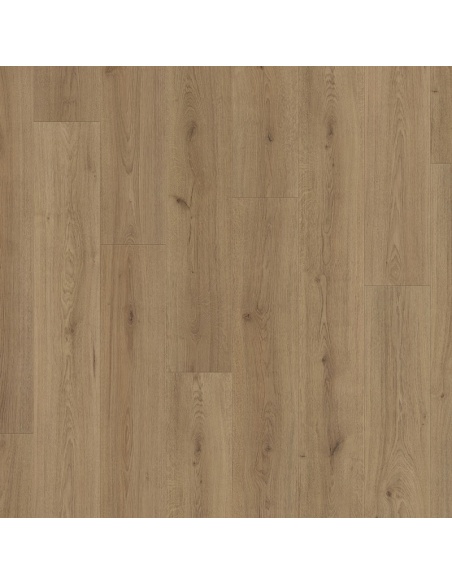 Sol stratifié Standard Plus 7mm AC3/31 Chêne tendance nature