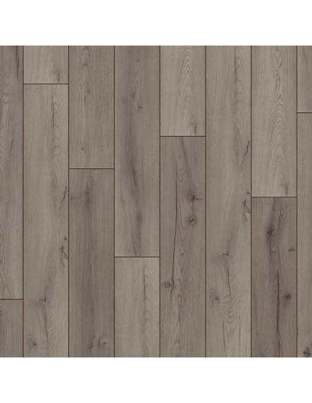 Sol stratifié Standard Plus 7mm AC3/31 Chêne Century Gris